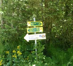 Eindrücke von unserer Wanderung am Eckbauer