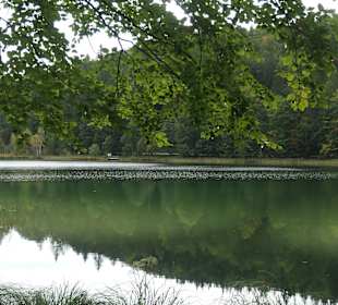 Unterwegs im Wandergebiet von Inzell