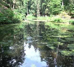 Wanderweg Märchensee Runde