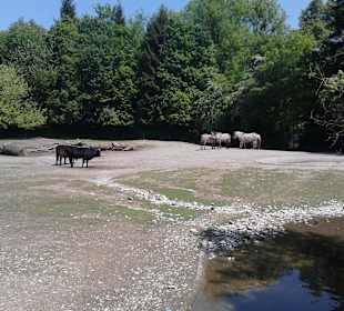  Tierpark Hellabrunn