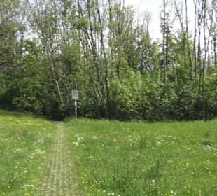 Wallfahrtkirche St. Maria