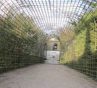 Schlosspark Schwetzingen im Winter