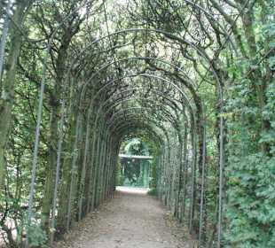 Botanischer Garten