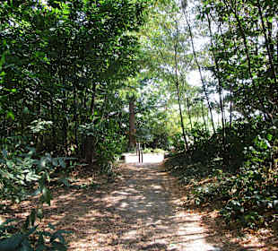  Waldgaststätte Friedensdenkmal