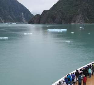 MS Zaandam befährt den Tracy Arm Fjord