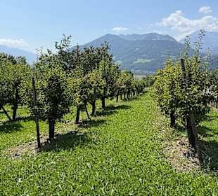 Aussicht