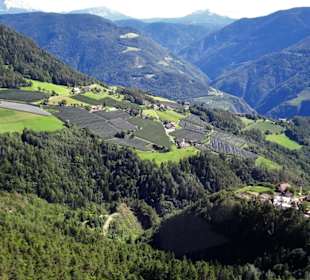 Blick aus der Seilbahn auf die Hänge des Ritten