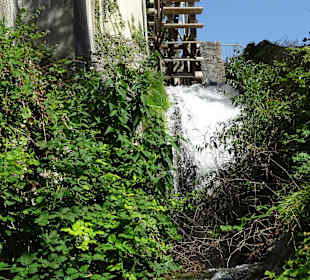 Am Rheinfall