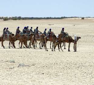 Kamelritt in die Sahara