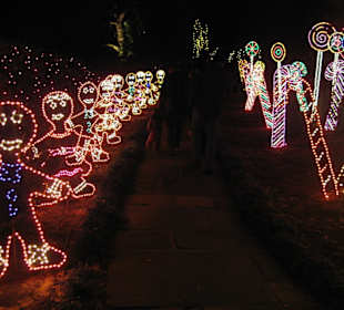 Magic Christmas in Lights