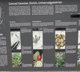 Alter Botanischer Garten