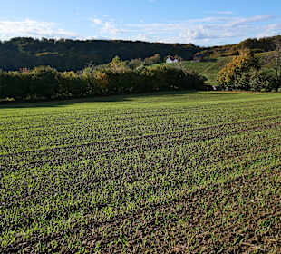 Wandern Feldbach