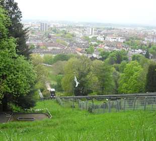 Blick vom Schlossberg über Freiburg