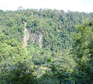 Abstieg zum Ayung River