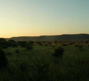 Madikwe Landschaftsmotiv