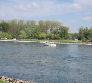 Promenade am Rhein in Germersheim