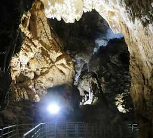 Passerelle turistiche area fossile
