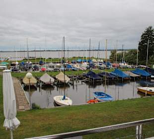 Blick über den Dümmer