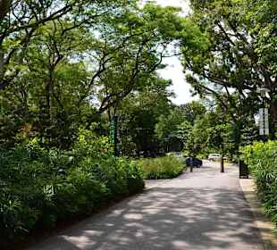 Botanischer Garten Singapur