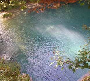 Горный нацпарк Истоки реки Уредерра, Наварра