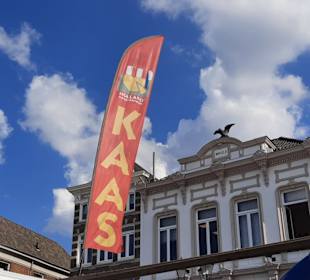 Markttag, natürlich gab's Käse