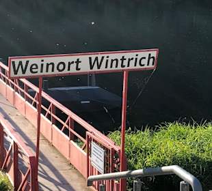 Wandern Wintrich