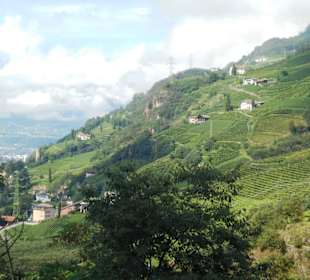 Blick von Schloss Runkelstein