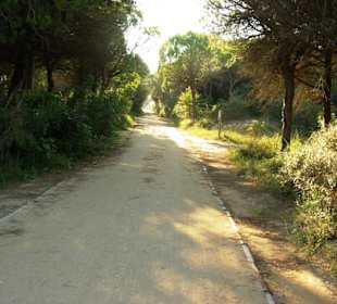 Fuß-/Radweg Naturreservat
