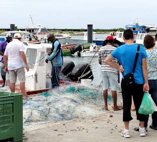 Käufer an den Booten