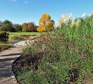 Impressionen aus dem Botanischen Garten Hamburg