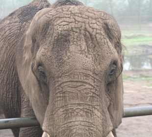 Wir machten hier Pause