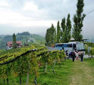 Südsteirische Weinstrasse