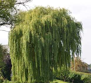 Bootstour Fünf Seenfahrt Plön