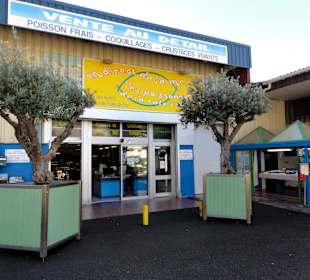 Eingangsbereich der Fischhalle