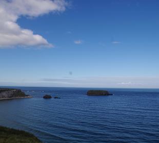 Carrick a Rope Bridge