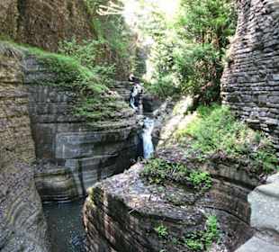 Watkins Glen