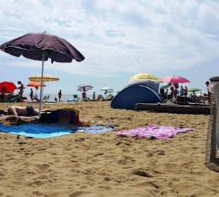 Am Hundestrand freier Bereich