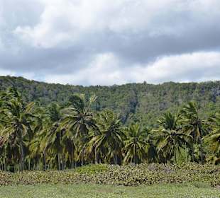 Von der Beach ins Land geblickt