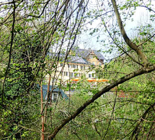 Blick zum Muldenschlösschen