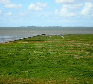 Landgewinnungszone im Wattenmee