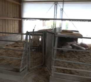 Erlebnisbauernhof und Wildgehege