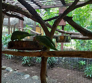 Diamante Eco Adventure Park