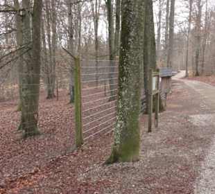 Wildpark Eichert