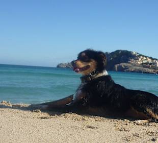 Entweder Baywatch oder Goldschmiede Security