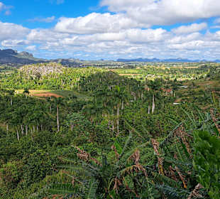 Das Tal von Vinales