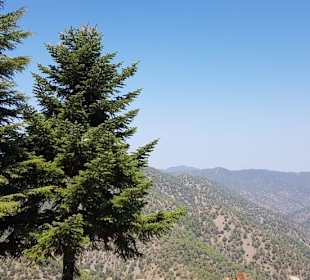 Jeeptour ins Troodosgebirge