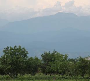 Weingut Shakarashvili - Blick zum Kaukasus