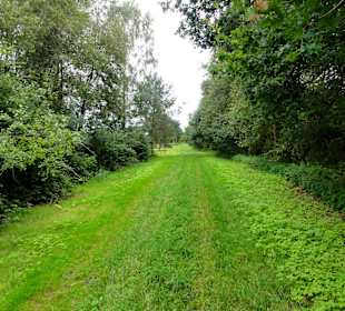 Auf dem Moorerlebnispfad