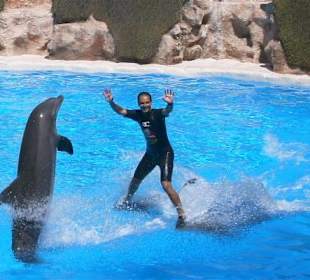 Delphinshow im Loro - Parc