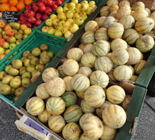 Rundgang über den Wochenmarkt von Argelès-Plage 